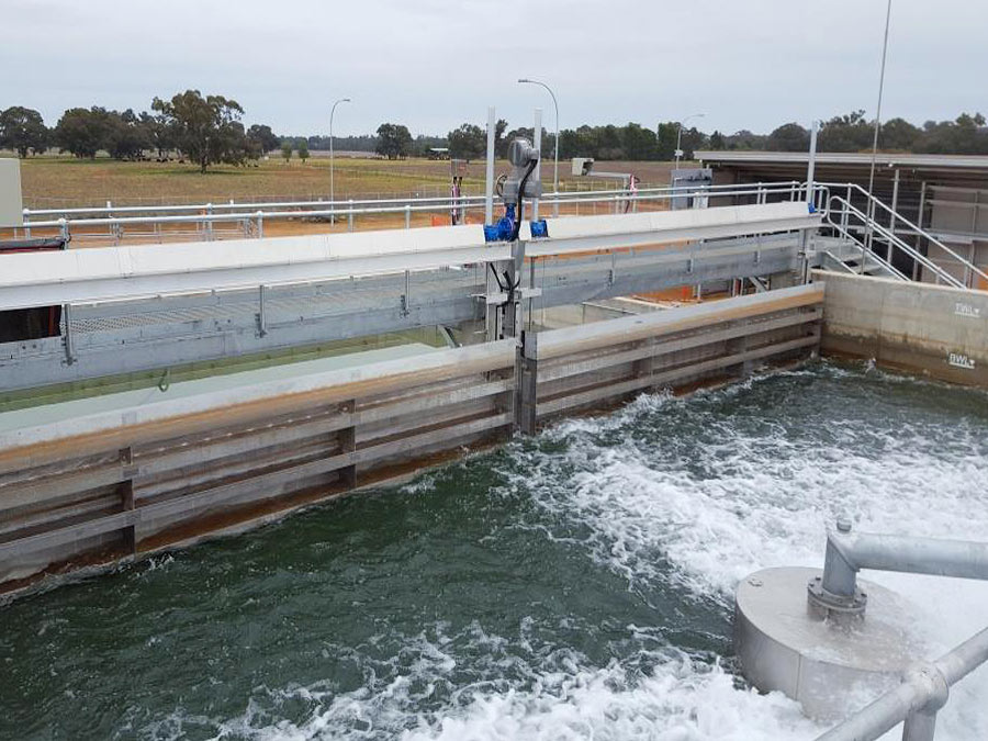 environmental-awareness-awe-01